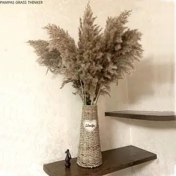 20pcs Poroko cvet, kup posušenih pampe lepa reed božični dekor pampe travo cvet kup naravno sušene reed rastlin