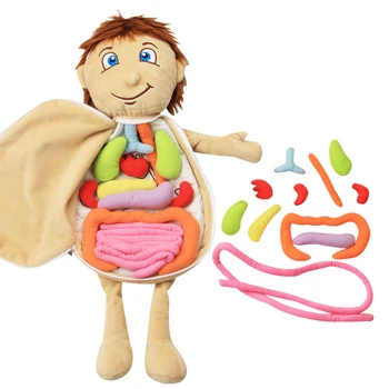 Otrok 3D Puzzle Človeško Telo Model Anatomija Plišastih Igrač Montessori Učenje Organ DIY Sestavljeni Igrača za Predšolsko Organ, Organ učni pripomoček
